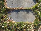 image of grave number 658942